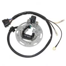 Статор генератора ELECTROSPORT ESC1366
