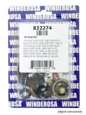 Набір сальників двигуна WINDEROSA 822274