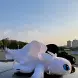 Іграшка м