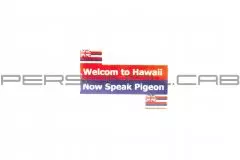 Наклейка на номер WELCOM TO HAWAII (8x8)