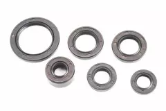 Набір сальників двигуна 139FMB/147FMH/152FMH 6шт (30*42*4,5; 18,9*30*5; 13,7*24*5; 12*21*4; 11,6*24*10; 17*29*5 ) (Китай)