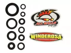 Набір сальників двигуна WINDEROSA W822107