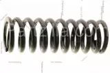 Пружина CLUTCH (22401-HN1-000)