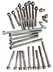 Болти двигуна DELTA / АЛЬФА / ACTIVE, (VDK)