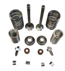 Клапани (пара, в зборі) Delta 70, (OLN)