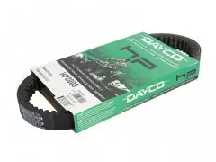Ремінь варіатора Dayco DY HP2000 (848*29)