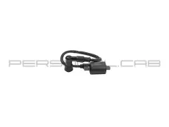 Котушка запалювання 4T CG125/150 (+насвічник) (TM), (EVO)