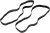 Комплект А-подібних ремінців Alpinestars A-STRAP