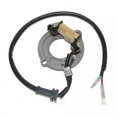 Статор генератора ELECTROSPORT ESC1631