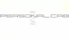 Пружина торкдрайвера Honda DIO - 1000RPM, (ST)