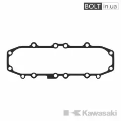 Прокладка циліндра Kawasaki 11009-1855 (опори)