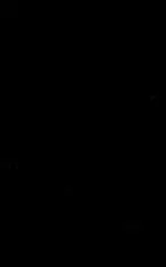 Rubber,pillion footr (43651-24B00-000)