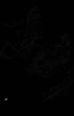 Shield,footboard,r a (48327-26J00-000)