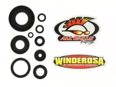 Набір сальників двигуна WINDEROSA W822304