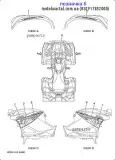 Наклейка правая (B32-F1785-20-00)