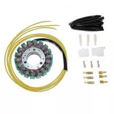 Статор генератора ELECTROSPORT ESG010