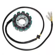 Статор генератора ELECTROSPORT ESG015