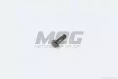 Болт гальмівного шлангу M10 (GUANG)